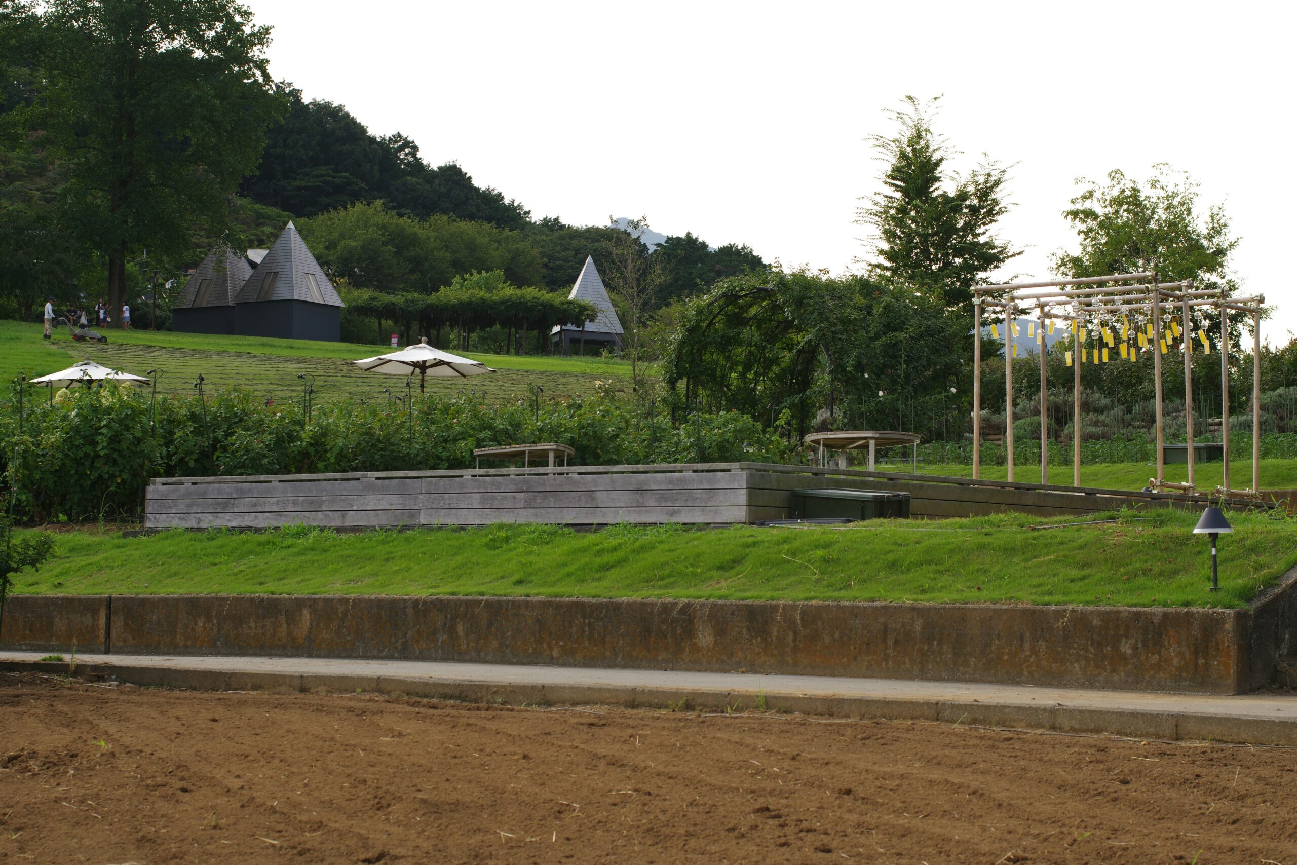 Two players building farms side by side in Stardew Valley on a tablet